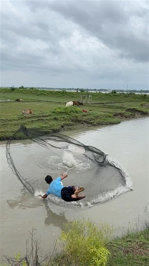 River monster catfish hunting by net fishing #shorts #riverfishing #bigfish #rivermonsters #funny