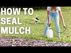 How To Lock Your Mulch In Place
