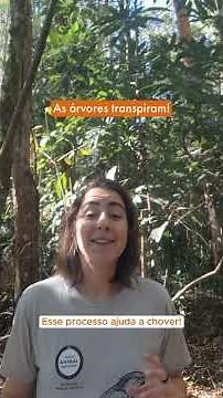 Descubra como as florestas tropicais impactam a sua vida na cidade