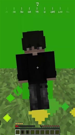 minecraft skin totem #shorts #minecraft