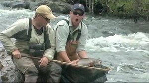 19K views · 139 reactions | Older video but still great, profile of 3...