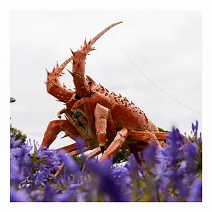 Get a natural therapy fix. Traverse the coast swimming in sinkholes, sandboarding giant dunes, walking with sea lions and taking your tastebuds on tour across three regions on the Southern Ocean Drive road trip. | South Australia