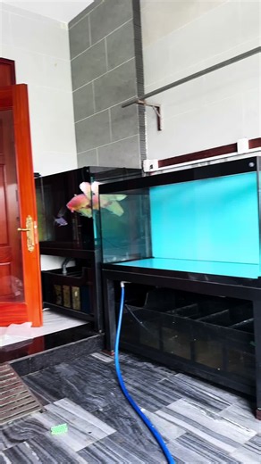 Giao 2 bộ hồ cho khách quen | Phúc Rùa my viện hoca TikTokShop