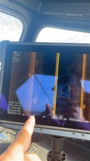 This is what Crappie look like on side scan