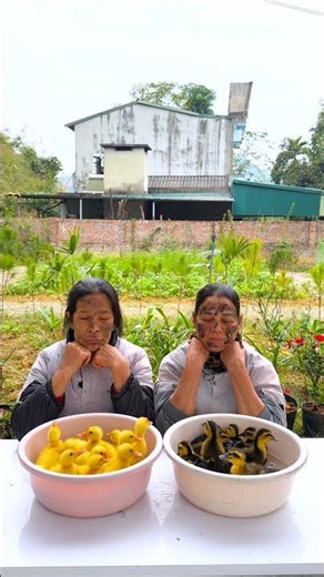 The two sisters are teasing each other in a super cute way 🍉🦆🦆🦆🦆💦🍫😱👶🏻♥️👴 #shorts #cute