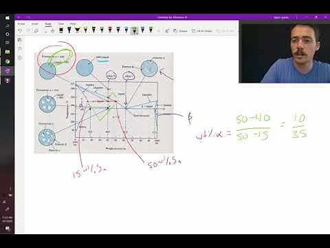 Example of sketching the proeutectic phases in a microstructure