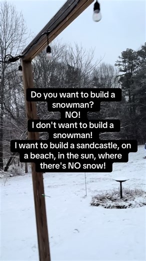 #fypシ #fyp #snow #snowman #snowstorm