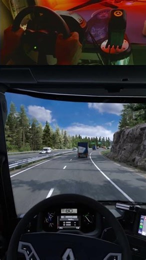Realistic Ets 2 with graphics mods | #eurotrucksimulator2 #ets2 #thrustmaster