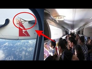 Ular Muncul Tiba-tiba dalam Penerbangan Qantas