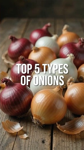 TOP 5 TYPES OF ONIONS IN THE WORLD