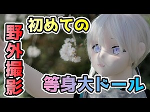 【等身大ドール】初めての野外撮影 ドールと桜を撮ってきました【幸福人形/幸福人偶/アニメドール】