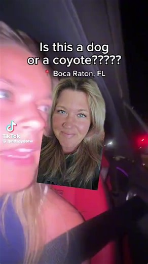 jdub 🪲 (@jaydubbie)’s videos with original sound - jdub 🪲