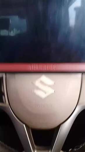 Wagon R 55S Scanning Review #Professional