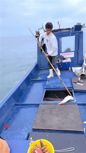 船上でのウナギ漁