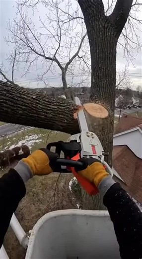 Ending 🔥👽#chainsaw #trending #wood #woodscraft #tree