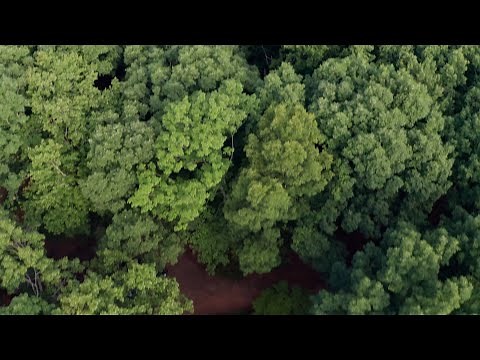 How to Repair Polybutylene with SharkBite