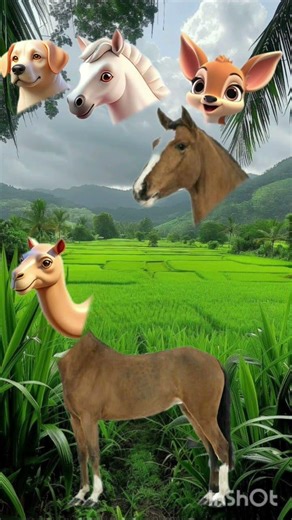 #cow#animation#cartoon#viralvideo#comedy#trending#animals#viral