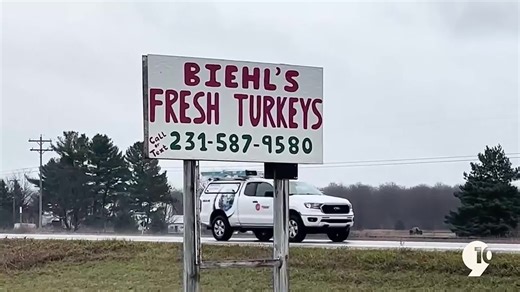Inside Biehl's turkey farm ahead of Thanksgiving