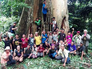 Community Conservation Resilience Initiative in Sabah, Malaysia - Global Forest Coalition