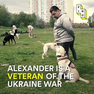 1M views · 214 reactions | Could dogs help veterns come to terms with life after the military? | Zinc | Facebook