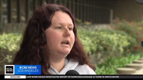 Orange County man caught on camera dumping injured cat into trash faces charges of animal cruelty