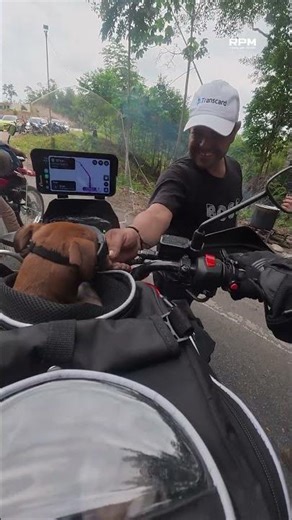 We weren't expecting it 😧 #motorcycle #santander #dogs #puppy #puppylove #travel #doglove #motorc...