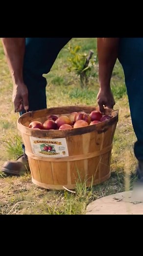 Baseball Girl: Mastering the Screwball Pitch Technique