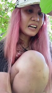 791K views · 7K reactions | Net Melon Harvest ang Tasting | SweetLife Tv | Facebook