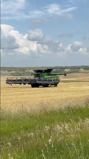 Durum Harvest Has Started!