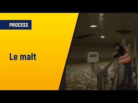 Presentation of the Malting Process | Boortmalt
