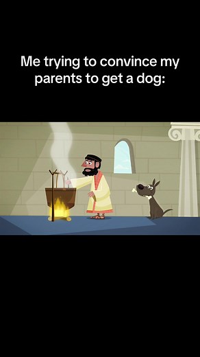 Todo sobre perros: la historia y su papel en la familia