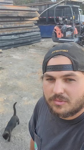 Dog Gets More Comfortable Around People