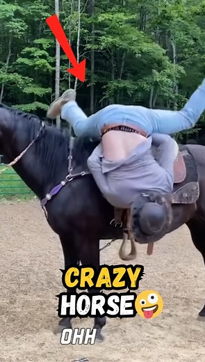 Crazy Horse#contentcreator #ContentMonetization #contentmonetizationbeta #FacebookMonetization #facebookmonetizationeligibility #fails #funnymoments #funnyvideos #funny #reelschallenge #UnitedStates #unitedkingdom #usa #FacebookPage | The Black | Facebook