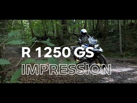 R 1250 GS インプレッション