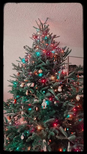 The 2025 Christmas Tree 🎄! | The Wild North Shack