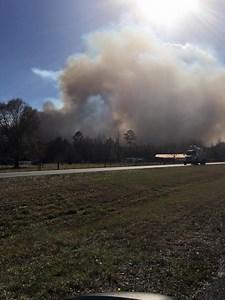 Foresters monitoring 200-acre prescribed burn in Callahan
