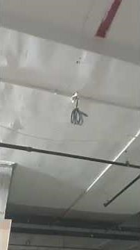 Fire Alarm System Cable Work Demo | Proper Alignment & Site Safety Explained #cablework #cablelaying