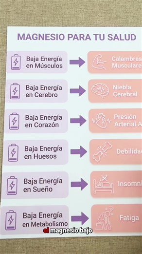 Beneficios del Magnesio para la Salud y Bienestar