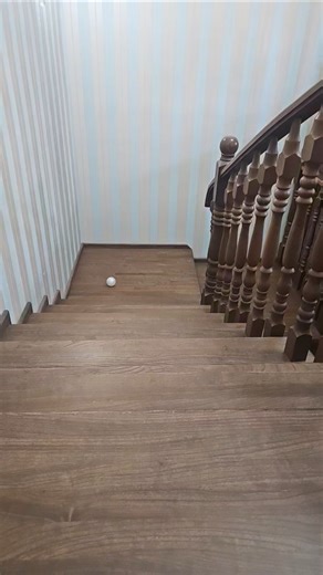 Don’t Blink! Balls Rolling Down Stairs 😳