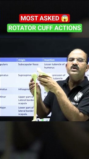 Rotator Cuff Muscles Actions 😱 | Infraspinatus & Teres Minor #Neetpg #Inicet #Fmge #Anatomy