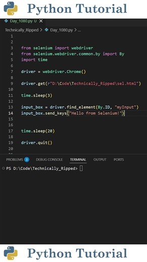 How to Enter Text in Selenium Python | Python Tutorial