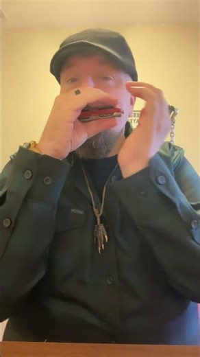 Make Your Harmonica Wail Hohner Golden Melody