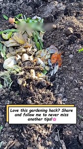 2.9K views |  Turn your kitchen scraps into gold for your garden! 凌 Start composting today and make your own rich, organic fertilizer — it’s easy, eco-friendly, and your plants will love it!   Like  & follow for more sustainable gardening hacks! #Composting #OrganicFertilizer #SustainableLiving #GardeningTips #EcoFriendly #GardenLife | garden hack | Facebook