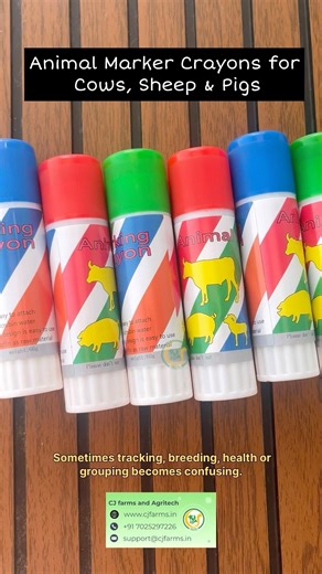 Animal Marker Crayons 🐄🐑 | Bright, Non-Toxic Livestock Marking for Cows, Sheep & Pigs