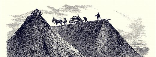 Global Challenges - Endangered Earth