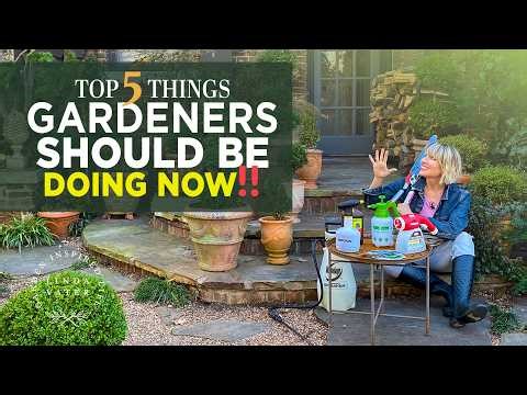 5 Things You MUST Do Now for a Better Spring Garden 🌷 | Linda Vater 🌿