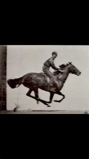 Horse and Rider Galloping (1887) Eadweard Muybridge