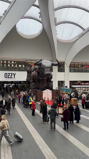 Looks like the magnificent Ozzy The Bull has become an honorary member of the Shelby family @peakyblinders #birmingham | Central BID Birmingham