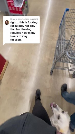 Replying to @zing.master let’s not judge so harshly. Me giving her a ton to treats is actually an anxiety response that I have. I don’t even realize I’m doing it! 🥰 #servicebearmabel #servicedog #servicedogsoftiktok #servicedoghandler #servicedogteam #servicedoglife #servicedogs