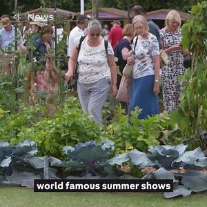 There's a growing backlash against artificial lawns, and now the Royal Horticultural Society has banned them from their world famous summer shows. Alex Thompson finds out how plastic grass can lead to habitat loss. You can watch the full report on Channel 4 News at 7pm. | Channel 4 News